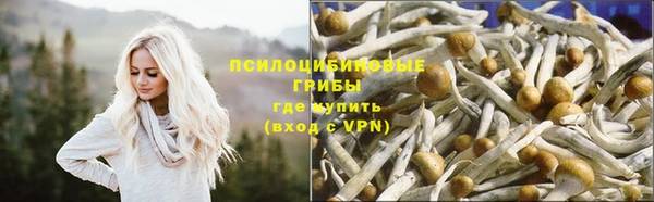 трава Абинск
