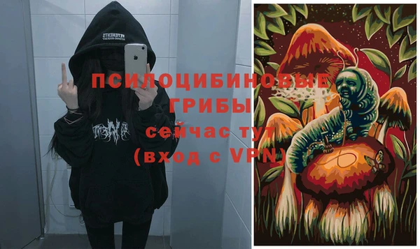 трава Абинск