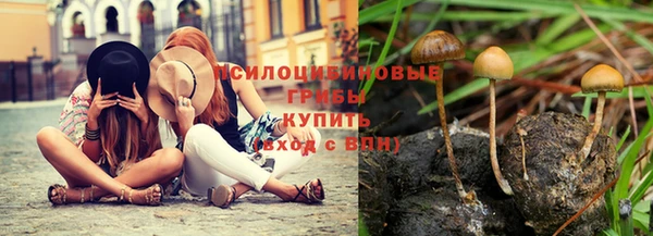 каннабис Абаза