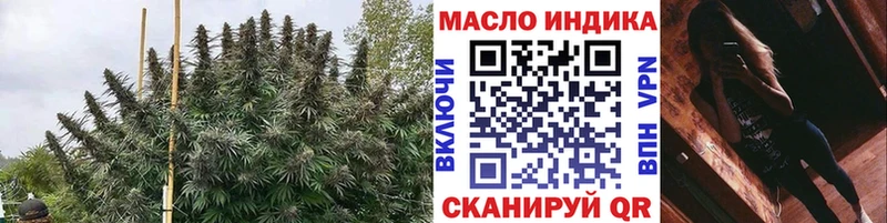 ТГК концентрат блэк спрут Рославль сколько стоит